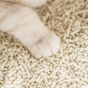 MS70001 Natural Plant-Based Tofu Cat Litter